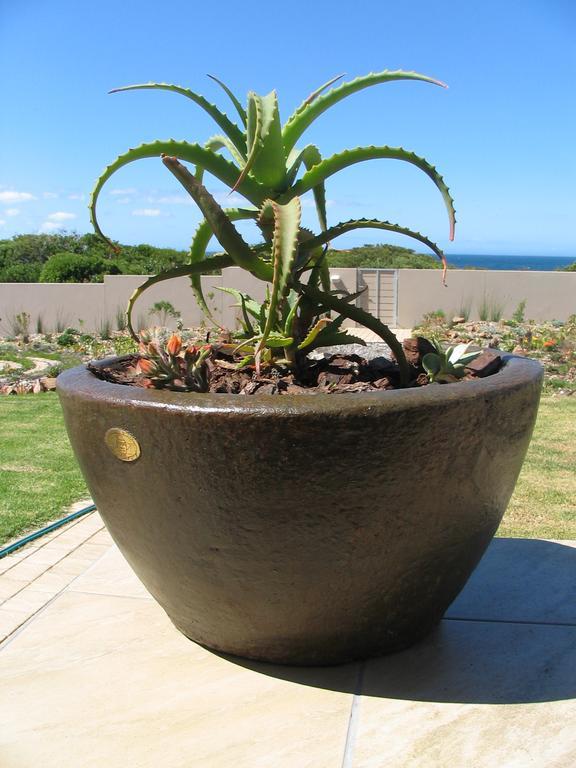 Bella Vista Onrus Villa Hermanus Exteriör bild